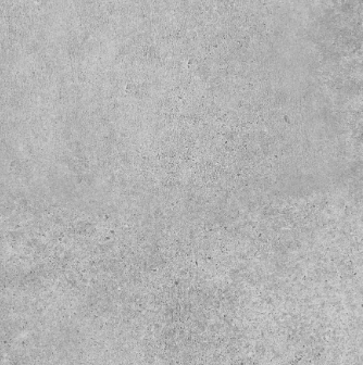 amur grey 2