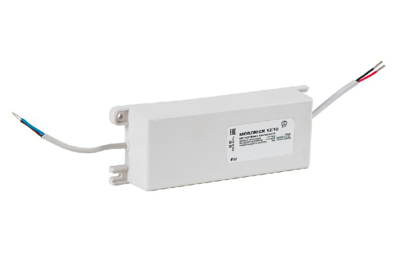 mollyusk 10 2