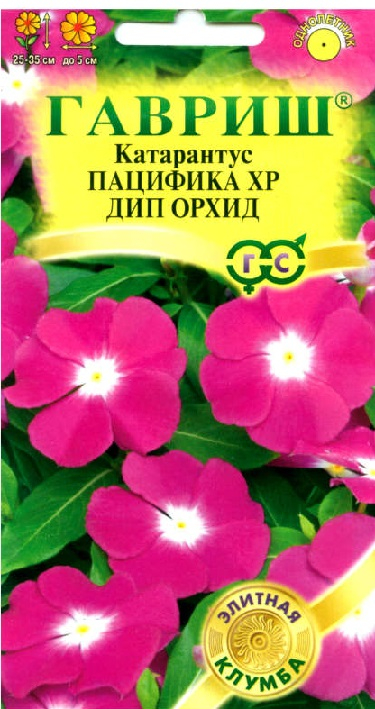 file_1078_116