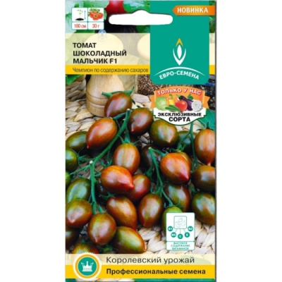 shokoladnyj-malchik-f1-sajt-550x550