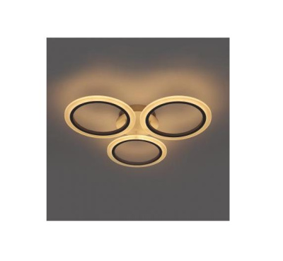 me2113115-2