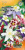 a9d5869f1c765aea4015588e57651cb3