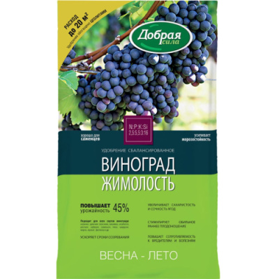 vinograd-min1