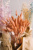 6c9d1a578a1c1989a388a80f075252be 6c9d1a578a1c1989a388a80f075252be
