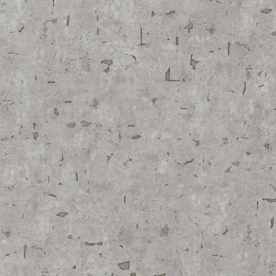 BN2005604
