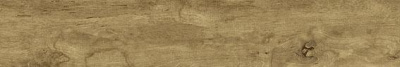 me2081481