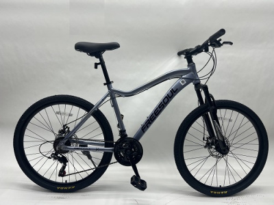 BS-MT-4 2