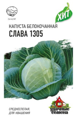 9954.438