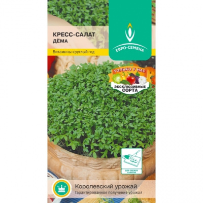 salat-dema-150-550x550