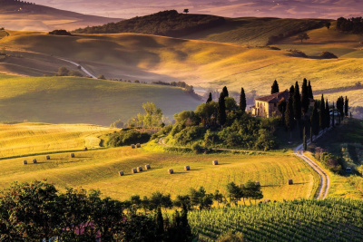 ME2164634
