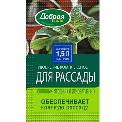 DS_rassada_sashe_15-min