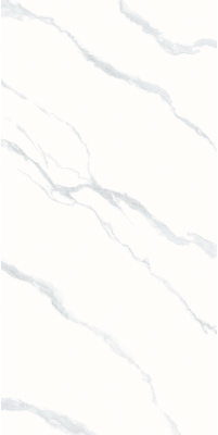 PY126948 (11)