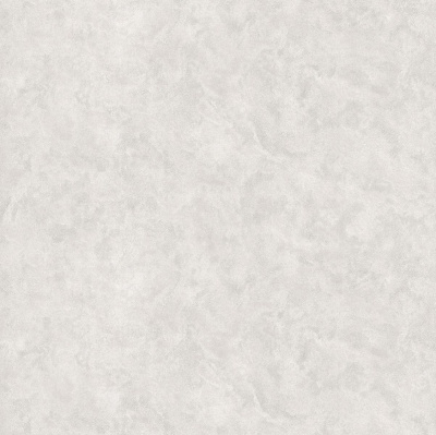 ME21702540