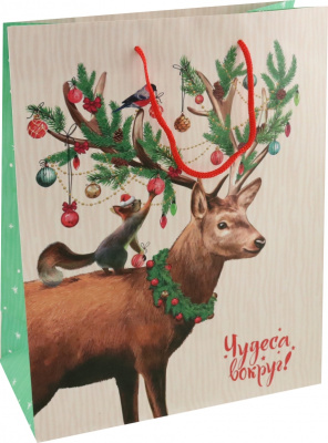 cover (3)