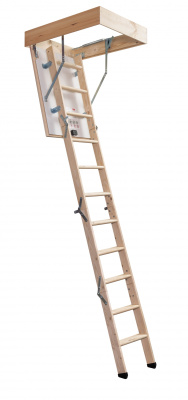 PROF 36 MINI