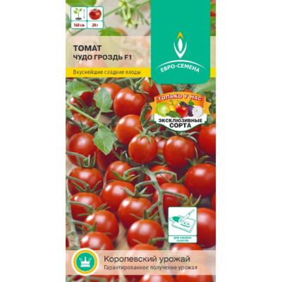 chudo-grozd-f1-150-550x550