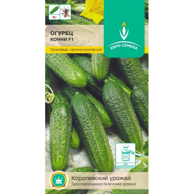 konni-f1-150-550x550