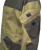 5 5