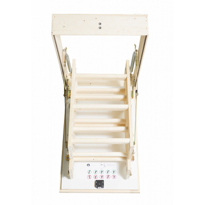 PROF 36 MINI 5