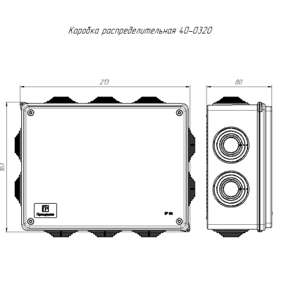 izdeliya elektroustanovochnye   Korobka raspredelitelnaya 200kh150kh75 IP55 Promrukav (40-0320)   2