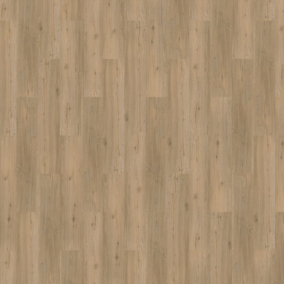 71916_wakefield_oak_frontal