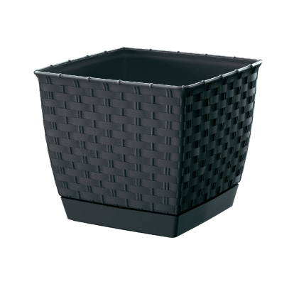 ratolla_square_DRLK_antracyt