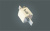 me144263