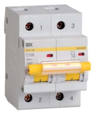 iek 2 s100