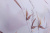 eowga827z227tpeyi37amj4a3y7nowkr