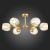 sle155412-06_01g sle155412-06_01g