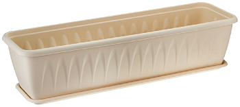 Bezymyannyy